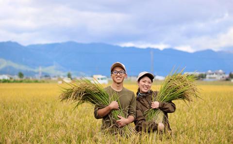 無農薬・無化学肥料　循環農法で育てたハツシモ　玄米20キロ