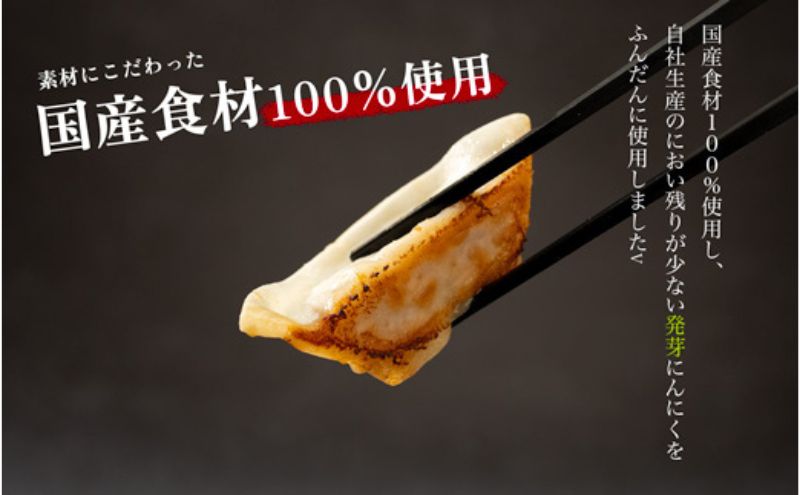 【6か月定期便】発芽にんにく餃子30個入り2パック　餃子 にんにく にんにくたっぷり 国産にんにく 発芽にんにく 冷凍 臭わない 栄養価抜群 スタミナ 免疫アップ おつまみ おかず 総菜 餃子専門店 工場直売 定期便