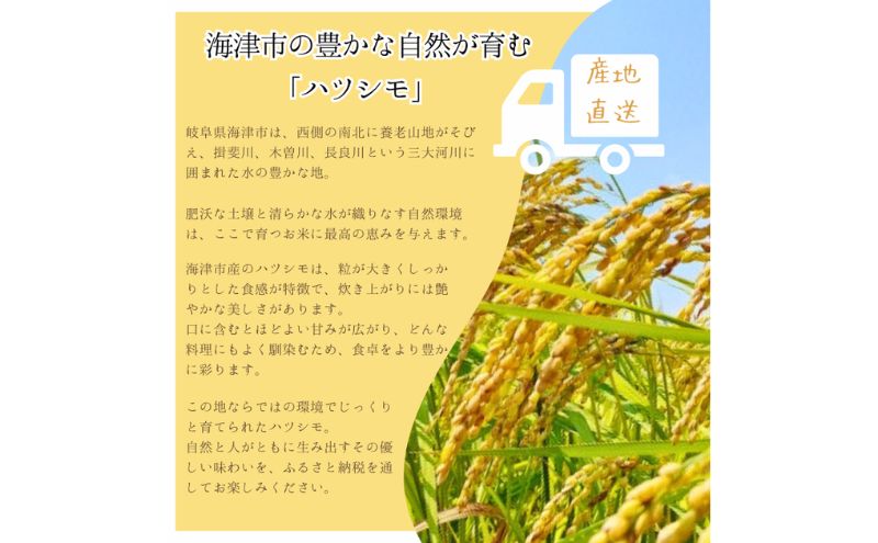 【令和7年度産/白米】ハツシモ 10kg 岐阜県海津市産