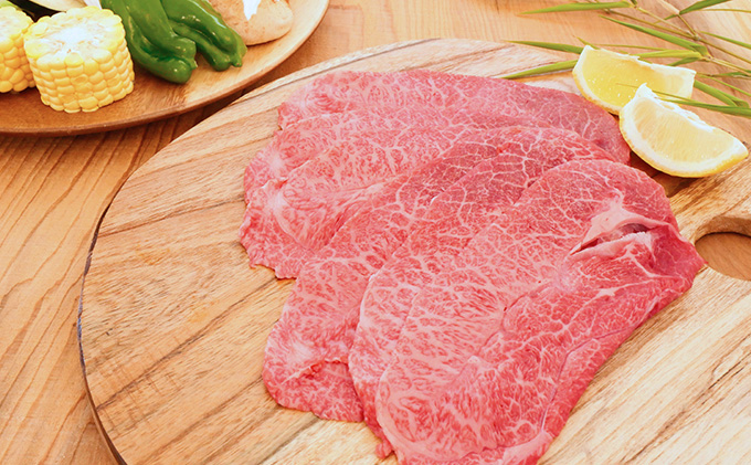 【飛騨牛】海津市産ウデ焼肉オリジナルカット 【配達不可