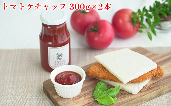 トマト専門農家のトマトソースセット 自然豊か こだわり 