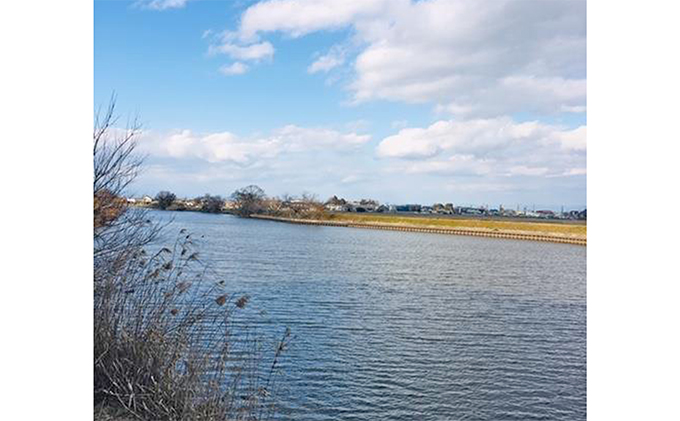 遊漁承認証（年釣券）