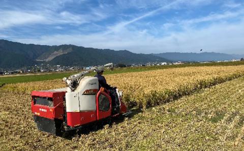 無農薬・無化学肥料　循環農法で育てた昔ながらのハツシモ　玄米5キロ