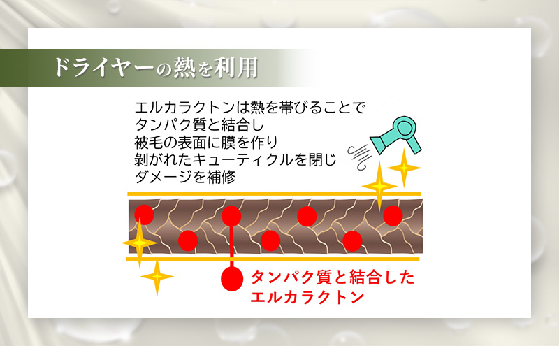 【犬用】リニューアル アーユルニームシャンプー 200ml・詰