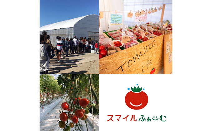 トマトジュース詰め合せセット