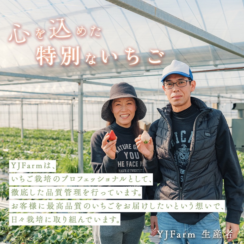 天使のいちご 紅白セット 苺 約400g いちご 詰め合わせ セット 岐阜県 海津市