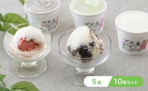 オリジナルジェラートアイス10個セット（5種）