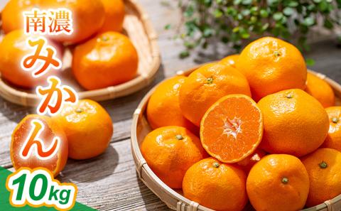 南濃みかん10kg みかん 果物類 柑橘類 ミカン フルーツ