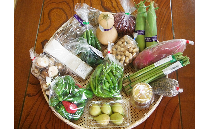 採れたて！旬の新鮮野菜 詰め合わせ セット 詰合せ 野菜セ