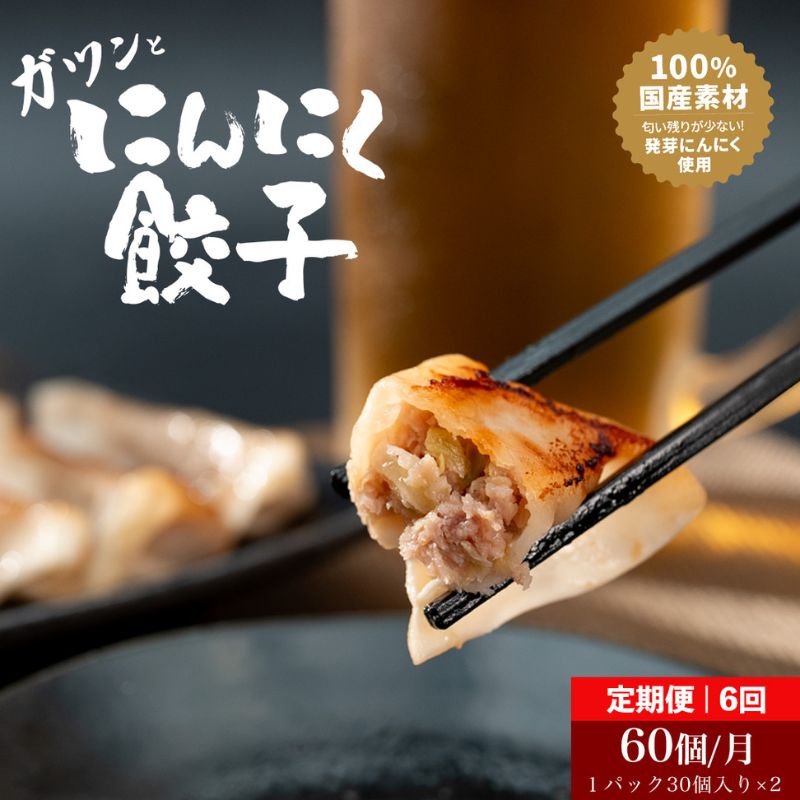 【6か月定期便】発芽にんにく餃子30個入り2パック　餃子 にんにく にんにくたっぷり 国産にんにく 発芽にんにく 冷凍 臭わない 栄養価抜群 スタミナ 免疫アップ おつまみ おかず 総菜 餃子専門店 工場直売 定期便