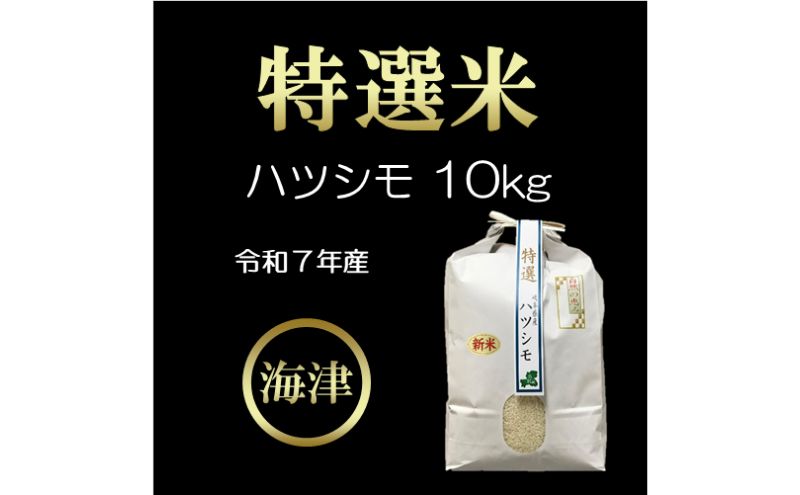 【オンライン決済限定】【令和7年度産/白米】特選米ハツシモ (10kg)