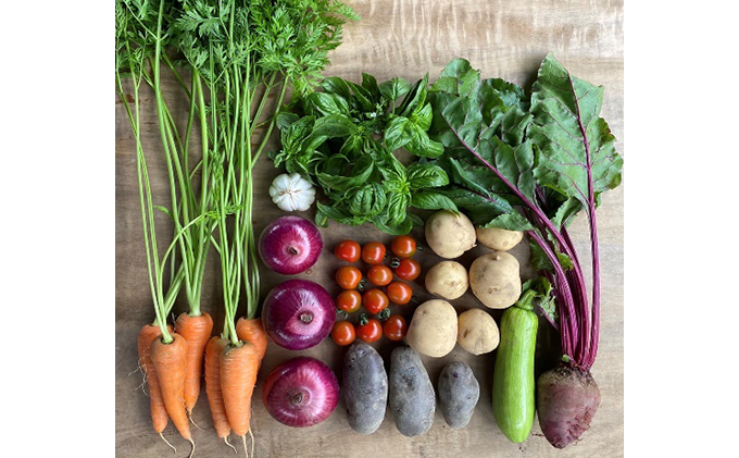季節の野菜セット6か月連続お届け　栽培期間中　無農薬、