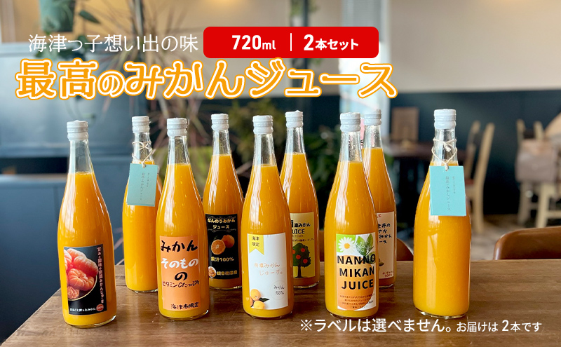 海津っ子の想い出の味　最高のみかんジュース　2本セット 