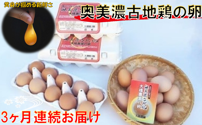 卵 定期便 3ヶ月 神代の味の再現 奥美濃古地鶏の卵 鶏卵 た