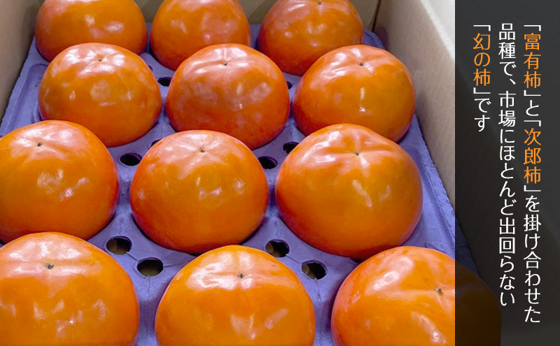 柿 果物 フルーツ 岐阜 幻の柿 陽豊柿 12玉 【海津市】 果物類 かき