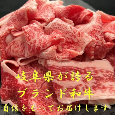 飛騨牛切り落とし300g×2パック【配送不可地域：離島】