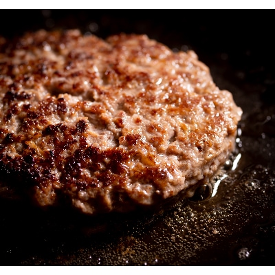 飛騨牛100%生ハンバーグ　120g×5個【配送不可地域：離島】