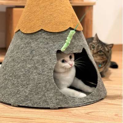 不織布ねこハウス【にゃろにも】黄×グレー