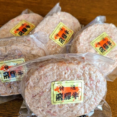 飛騨牛100%生ハンバーグ　120g×5個【配送不可地域：離島】