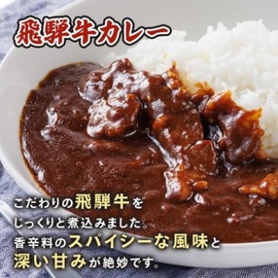 【2ヵ月毎定期便】飛騨牛三昧(ハンバーグ・カレー・牛丼の冷凍食品3種セット)全3回【配送不可地域：離島】
