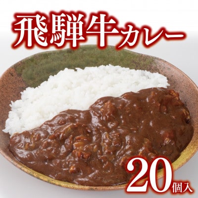 飛騨牛カレー20個セット【配送不可地域：離島】