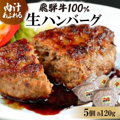 飛騨牛100%生ハンバーグ　120g×5個【配送不可地域：離島】