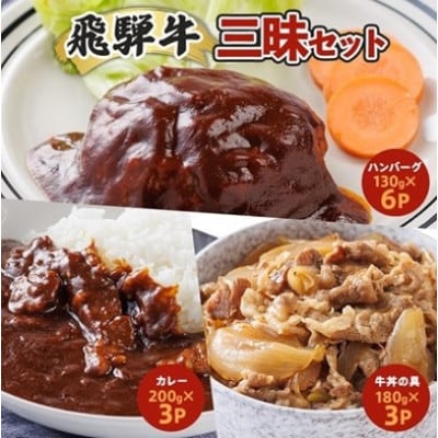 【2ヵ月毎定期便】飛騨牛三昧(ハンバーグ・カレー・牛丼の冷凍食品3種セット)全3回【配送不可地域：離島】