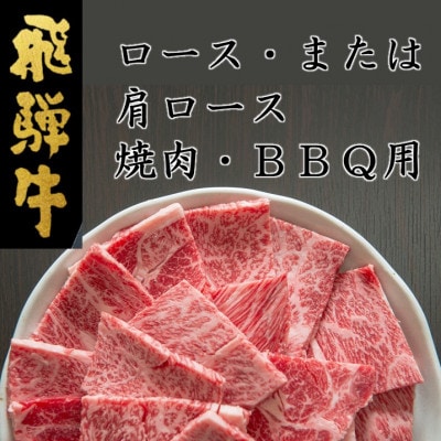 飛騨牛ロースまたは肩ロース600g (焼肉・BBQ用)【配送不可地域：離島】