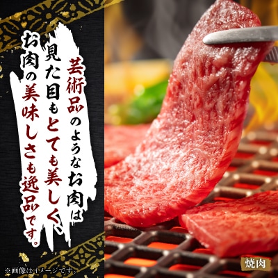 飛騨牛5等級　ミスジ・三角バラ　焼肉用　500g【配送不可地域：離島・北海道・沖縄県】