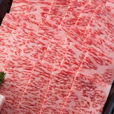 【飛騨牛】ロース焼肉500g 岐阜県産 黒毛和牛 BBQ 贈り物にも【配送不可地域：離島】