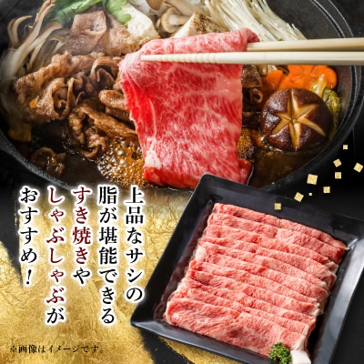 【飛騨牛】ローススライス(すき焼き/しゃぶしゃぶ)500g 岐阜県産 黒毛和牛 贈り物にも【配送不可地域：離島】