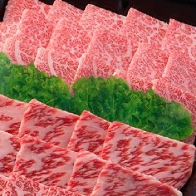【飛騨牛】肉厚ロースと霜降りカルビの詰め合わせ 焼肉用 計800g 岐阜県産 黒毛和牛【配送不可地域：離島】