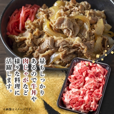 何にでも使える!【飛騨牛】切り落とし800g【配送不可地域：離島】