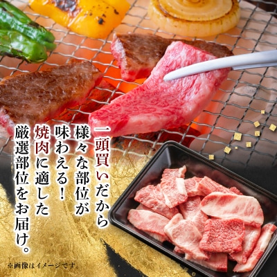 【飛騨牛】切り落し焼肉用【400g/岐阜県産】【配送不可地域：離島】