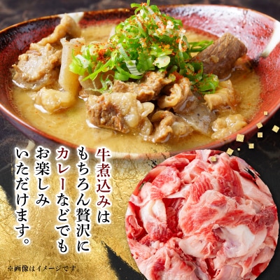 【飛騨牛】スジ肉 煮込み用【1kg/岐阜県産】【配送不可地域：離島】