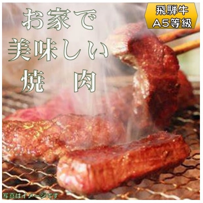 飛騨牛ロース5等級500g・焼きそば3人前(ソース付)　バーベキューセット【配送不可地域：離島】