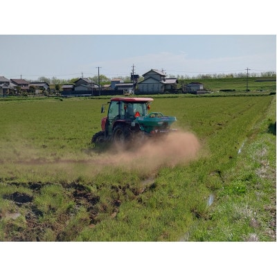 令和7年岐阜県養老産ケリ米ハツシモ　白米10kg