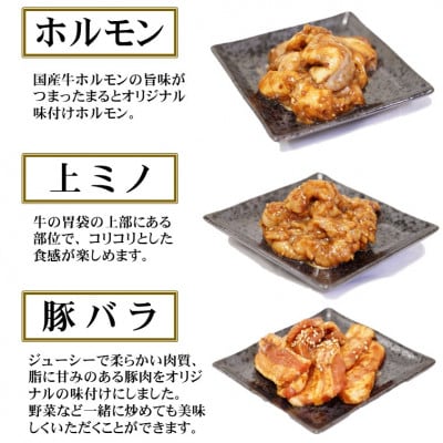 【飛騨牛】焼肉4種セット　ロース・肩ロースと味付けホルモンなど　合計1kg【配送不可地域：離島】