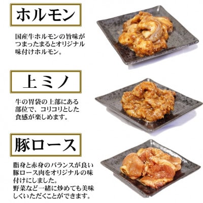 【飛騨牛】焼肉4種セットA-3　ロース・肩ロースと味付けホルモンなど　合計1kg【配送不可地域：離島】