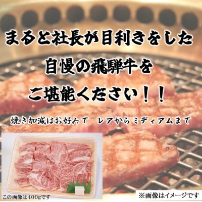 【飛騨牛】ロース・肩ロース焼き肉　300g(牛脂付き)【配送不可地域：離島】