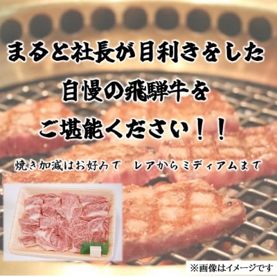 【飛騨牛】ロース・肩ロース焼き肉　400g(牛脂付き)【配送不可地域：離島】