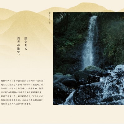 飛騨牛 サーロインブロック 5kg【配送不可地域：離島】