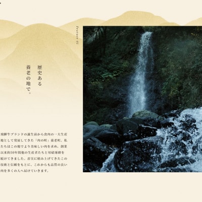 飛騨牛 ロースブロック 5kg【配送不可地域：離島】