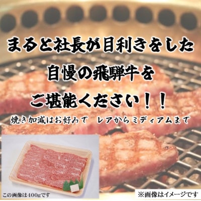 【飛騨牛】赤身 焼肉用 計300g入り【配送不可地域：離島】