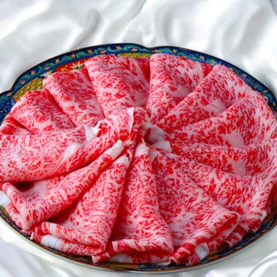 飛騨牛【白銀ロース】すき焼き・しゃぶしゃぶ用500g【配送不可地域：離島】