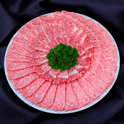 【飛騨牛】白銀焼肉用500g【配送不可地域：離島】