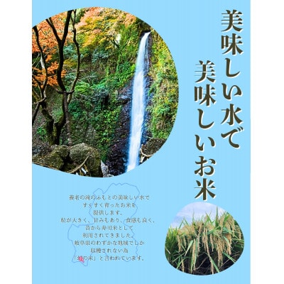 令和7年産　岐阜ハツシモSL　玄米　10kg