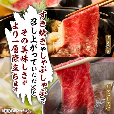 飛騨牛5等級ロース・すき焼きしゃぶしゃぶ用 500g【配送不可地域：離島】