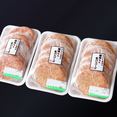 飛騨牛入特製生ハンバーグ　100g×15個【配送不可地域：離島】