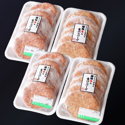 飛騨牛入特製生ハンバーグ　100g×20個【配送不可地域：離島】